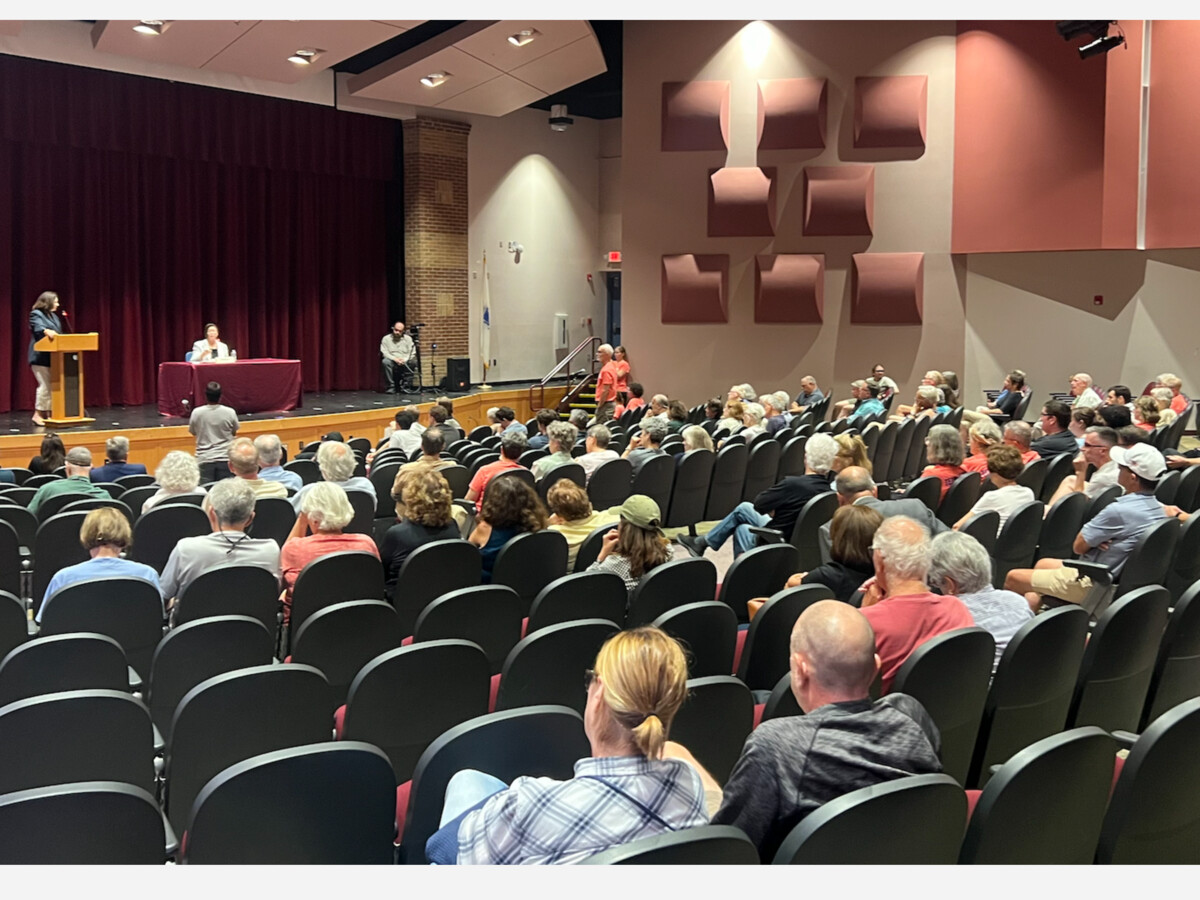 Democratic Primary Challengers Make Their Case at Dedham Candidate Forum