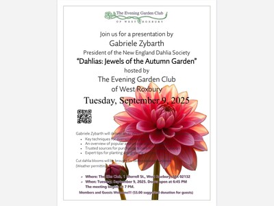  Dahlias: Jewels of the Autumn Garden 