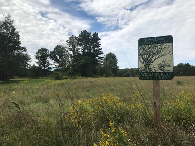 Preserving Westwood’s Natural Heritage