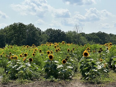 Why Westwood Should Allow Farming on 8 Acres of 665 Clapboardtree (— voices from Westwood’s young adults)