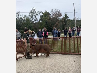 Young Animal Handlers Take Center Stage at Powisset Farm's Annual 4-H Show