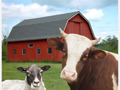 Powisset Farm 4-H Club Invites Middle School, High School Students to a Teen Adventure