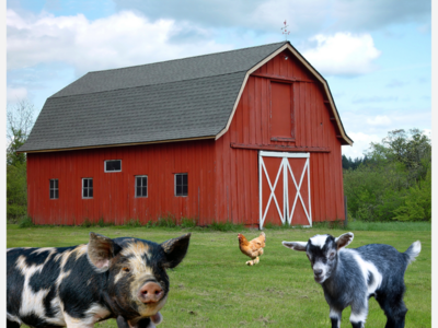 Powisset Farm 4-H Club Invites Middle School, High School Students to a Teen Adventure
