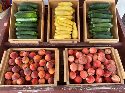 Preserving Westwood’s Last Working Farm