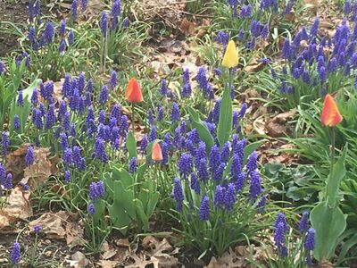 Elevated Fire Potential and Freeze Watch Today