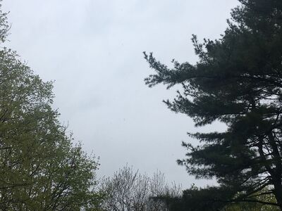 Today's Precipitation and Morning Weather