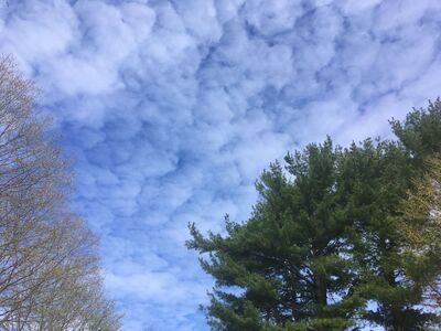 Today's Precipitation and Morning Weather