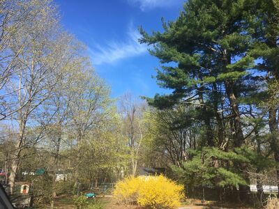 Today's Precipitation and Morning Weather