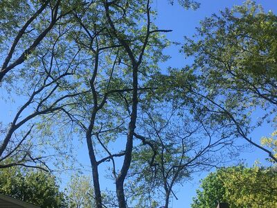 Friday's Precipitation and Morning Weather (updated)