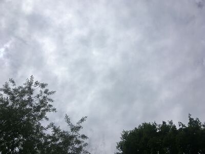 Friday's Precipitation and Morning Weather (updated)