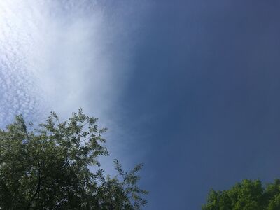 Weekend Weather, May 22 to May 23, 2021 (Hazardous Weather Update)