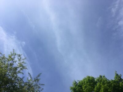 Tuesday's Precipitation and Morning Weather (updated)