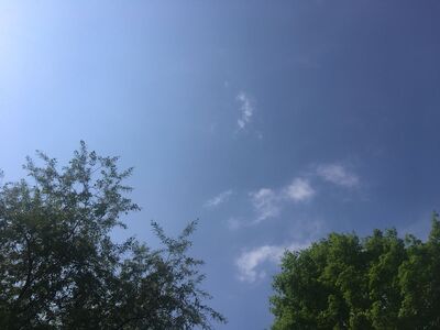 Wednesday's Precipitation and Morning Weather