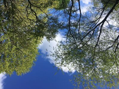 Thursday's Precipitation and Morning Weather (updated)