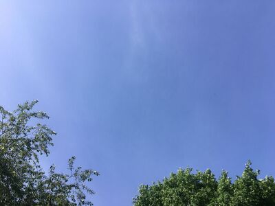 Precipitation from Wednesday, June 9th to Thursday, June 10th