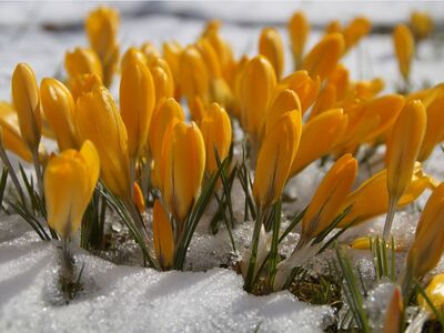 Daylight Savings Time Begins Sunday, March 13, 2022