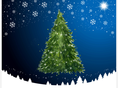 Generous Donor Gifts Free Christmas Trees to the Community