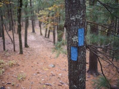 Hale's Conservation Restrictions: Nearing the Finish Line . . . How We Got Here and What Comes Next?