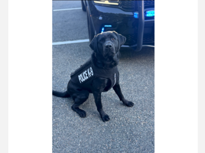 PRESS RELEASE: Westwood Police Department’s K9 Scout Has Received Donation of Body Armor