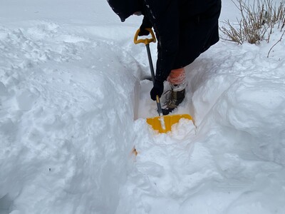 January 2026 Snowstorm: How Much Snow Fell in the Westwood Area?