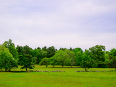 The Trustees Celebrate Opening of New Reservation, Millborn Farm, in Sherborn and Millis on June 20 