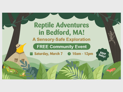 Reptile Adventures in Bedford
