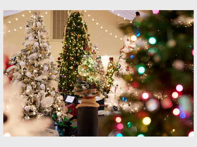 17th Annual Festival of Trees