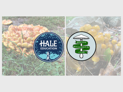 Sun. June 23—Mushroom Walk