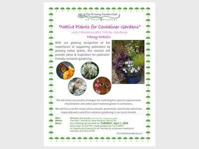  Native Plants for Container Gardens  - Nancy Kressin, Massachusetts Master Gardener