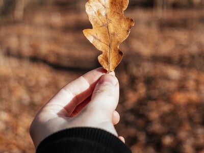 Hale Education's Fall in Love with Camp Open House
