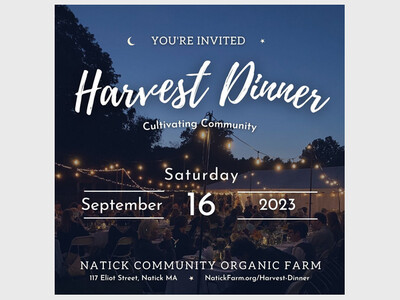 Harvest Dinner at the Natick Community Organic Farm