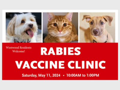 Rabies Vaccine Clinic