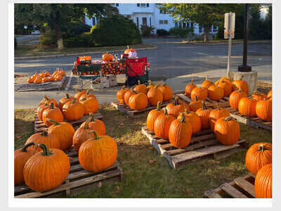 Pumpkins With A Purpose