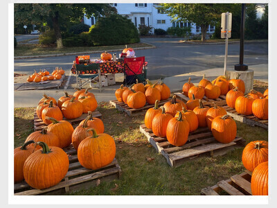 Pumpkins With A Purpose