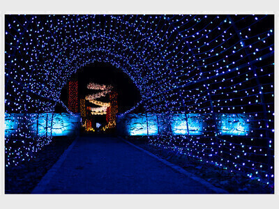 Winterlights at The Bradley Estate 2025